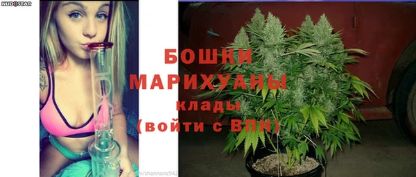 хмурый Лиски