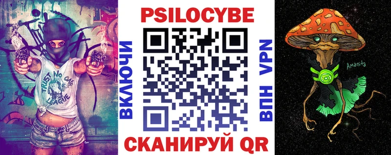 Псилоцибиновые грибы Cubensis  Холм 